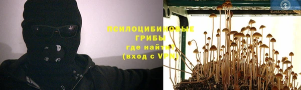 эйфоретик Белоозёрский